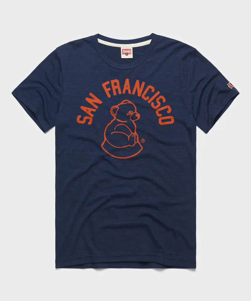 San Francisco Sea Lions 1