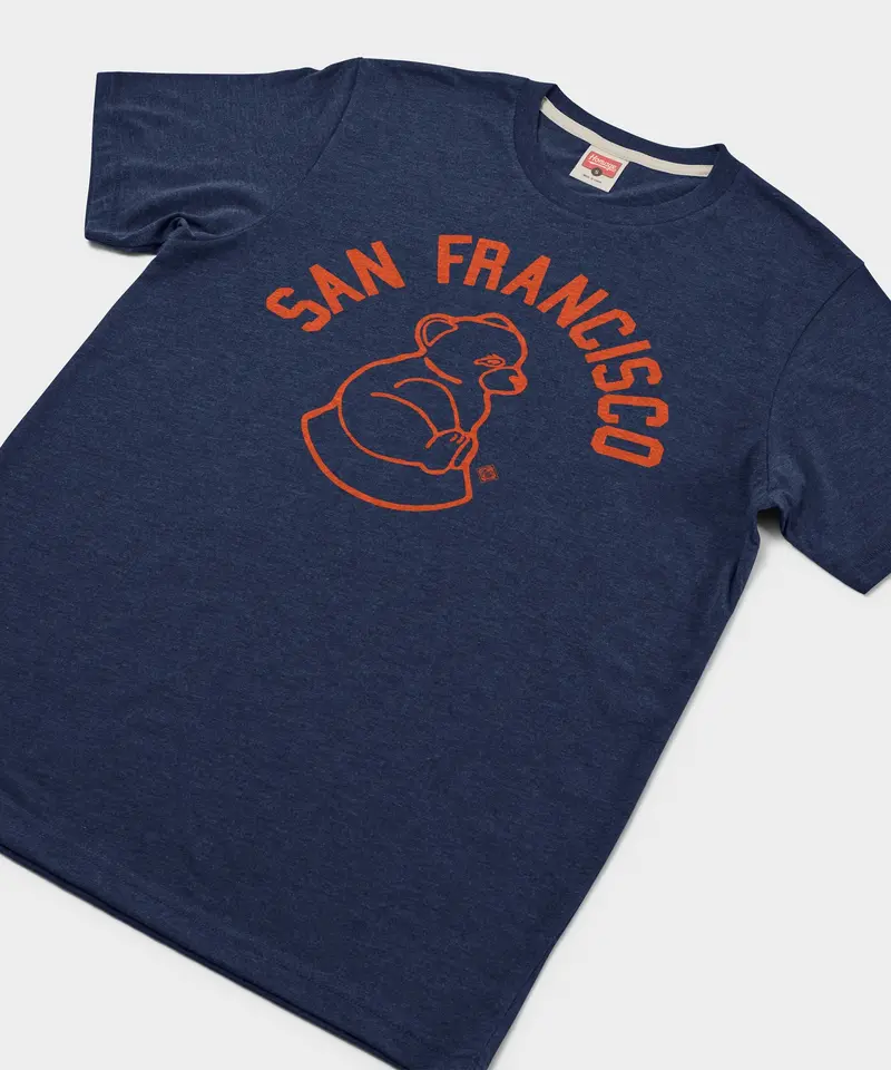 San Francisco Sea Lions 2
