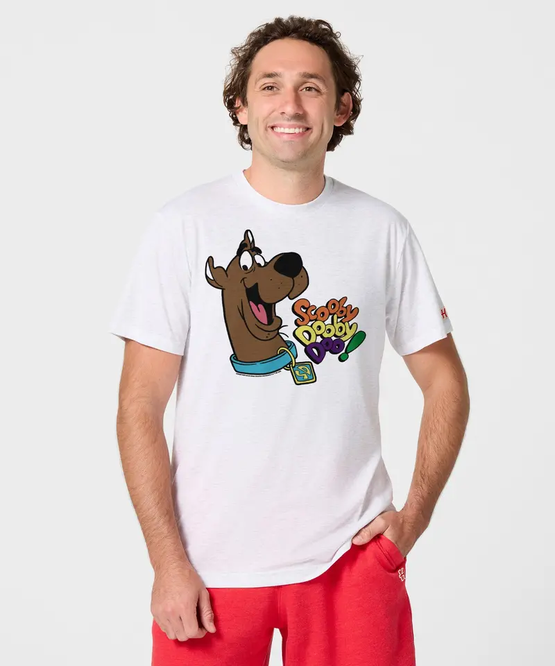 Scooby Dooby Doo 3