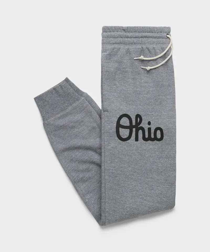 Script Ohio Jogger 1