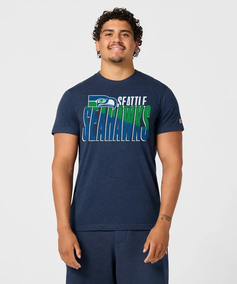 Seattle Seahawks Color Splash 3