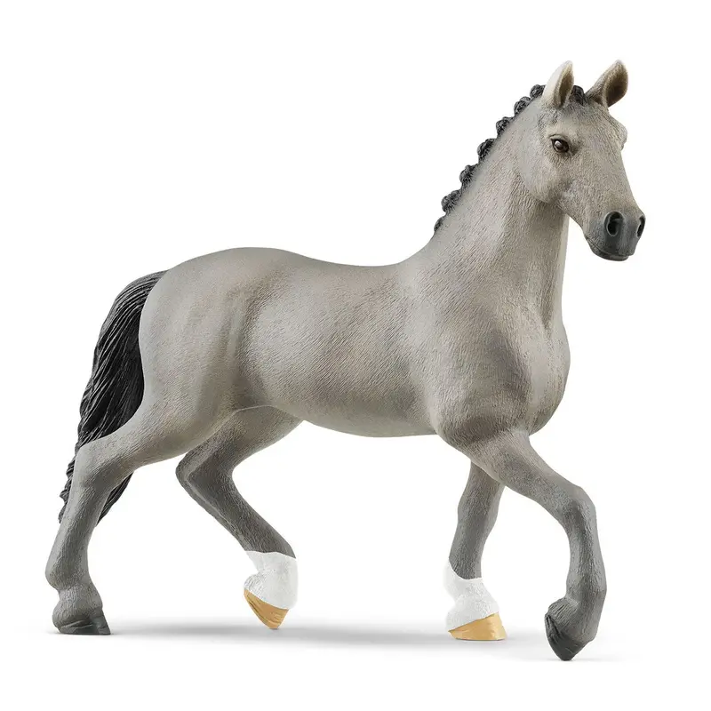 Selle Français Stallion 1