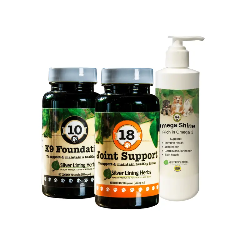 Senior Canine Bundle 1