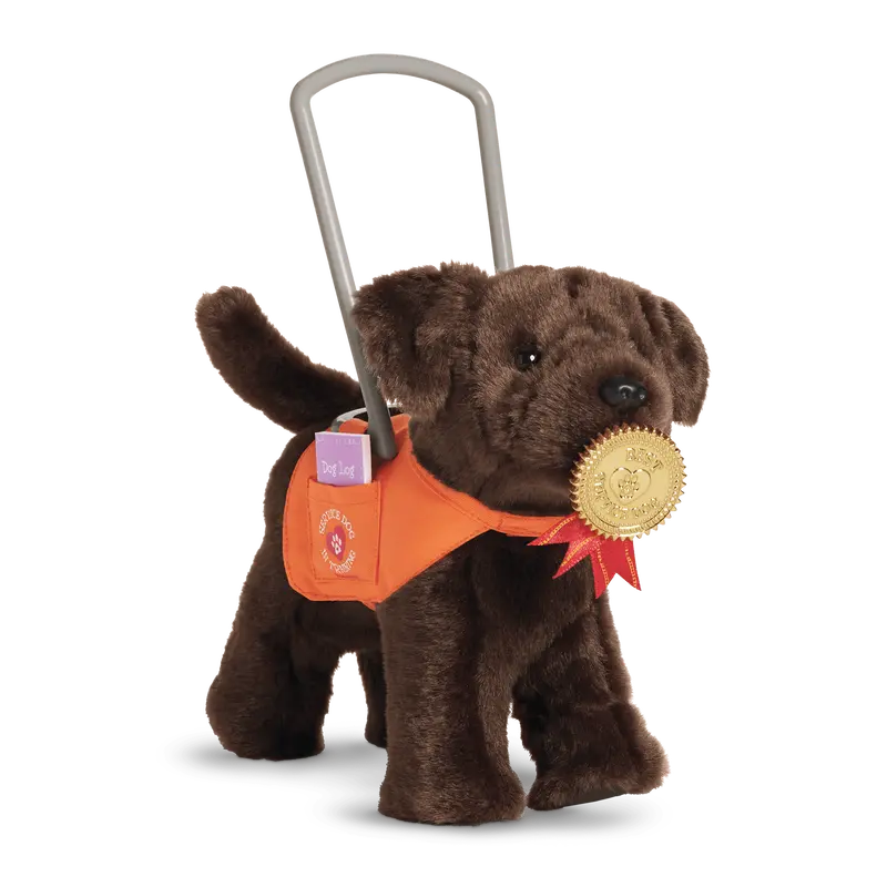 Service Dog Vest 1