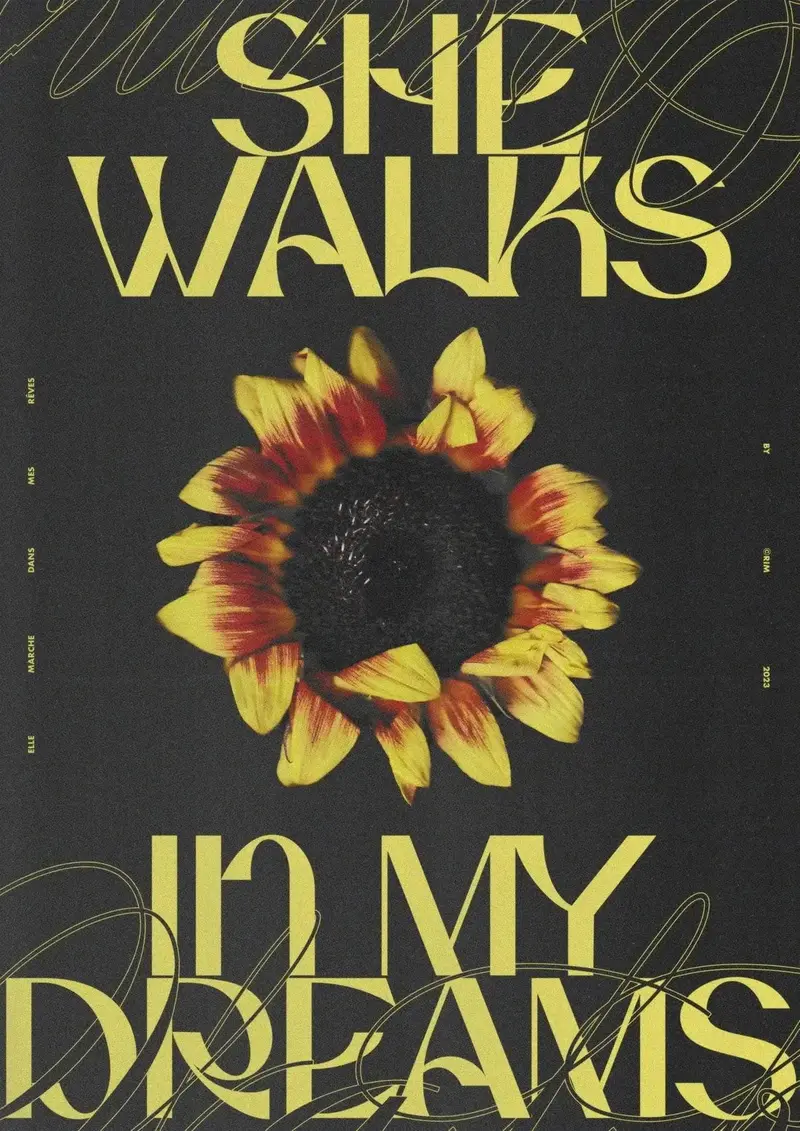 She Walks In My Dreams 2