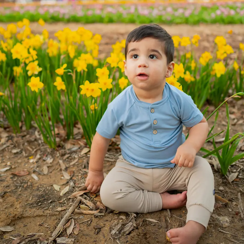 Short Sleeve Toddler Henley Tee In Slate 1