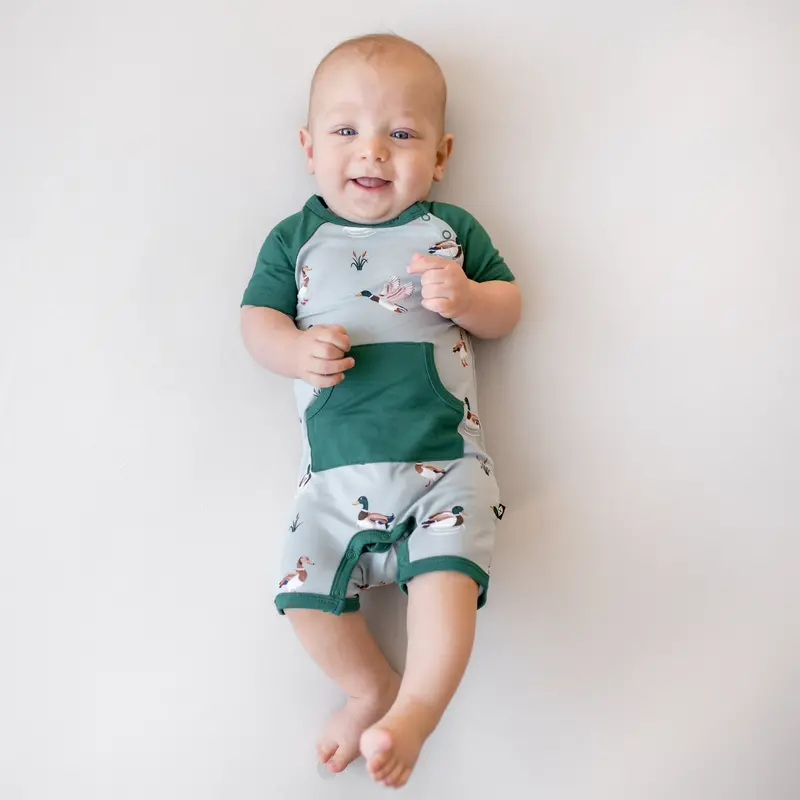 Shortall In Mallard Duck 1