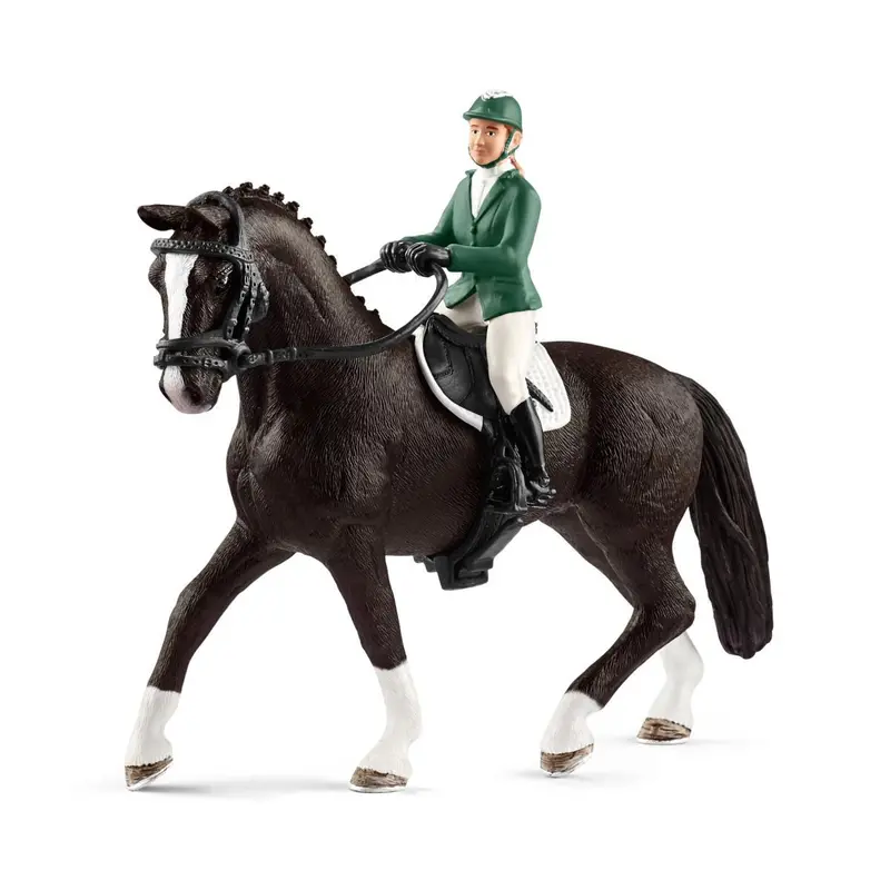 Showjumper With Horse 1