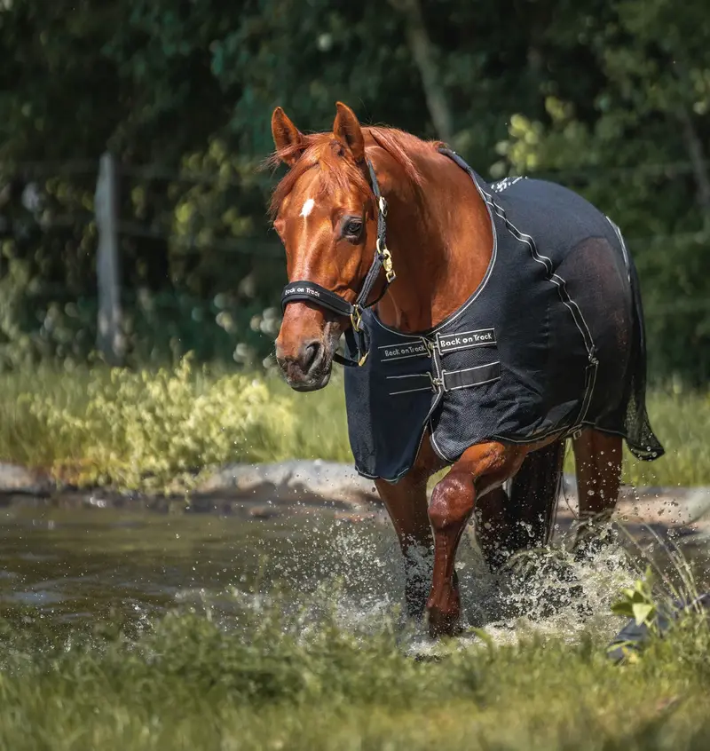 Sienna Horse Mesh Cooler - Free Gift Included 3/17 -3/18! 1