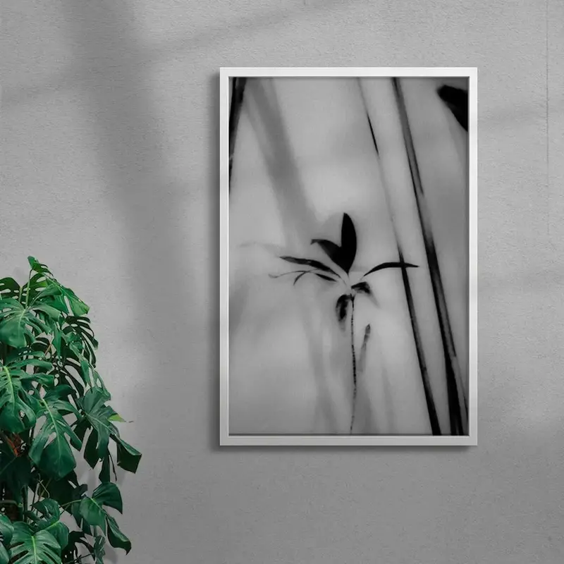 Silhouetted Plant 5