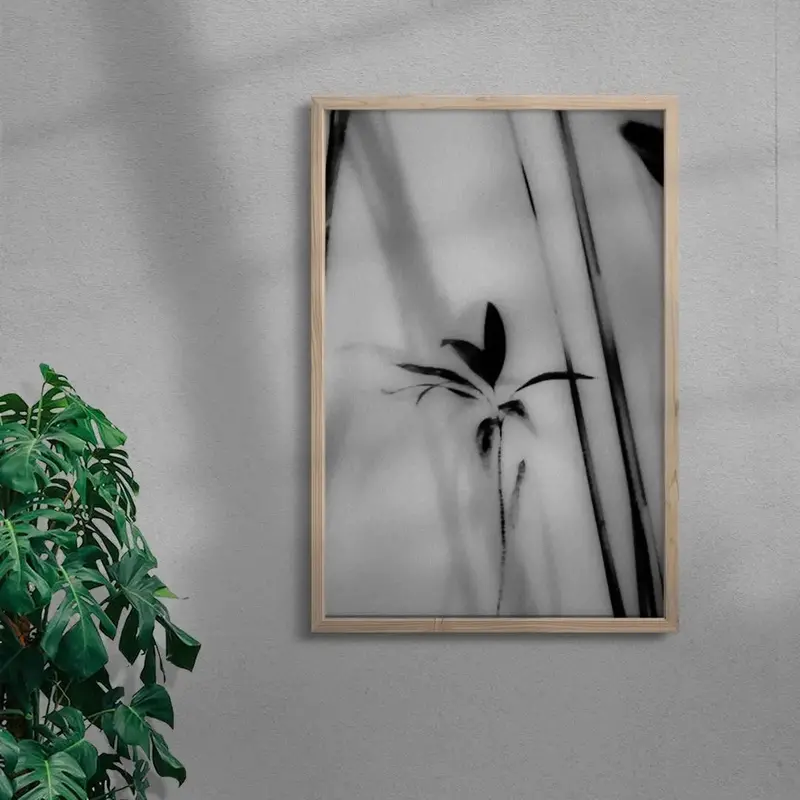 Silhouetted Plant 6