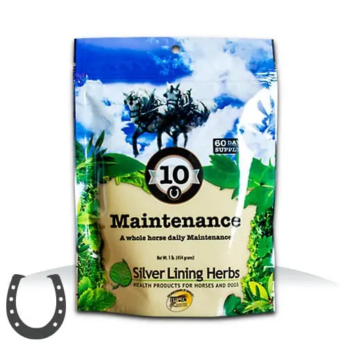 Silver Lining #10 Maintenance Total Body 2