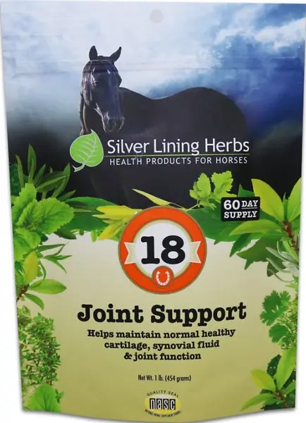 Silver Lining #18 Joint Support 1