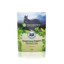 Silver Lining #22 Respiratory 2