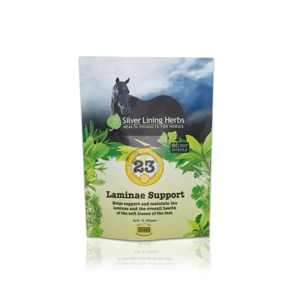 Silver Lining #23 Laminae Support 1