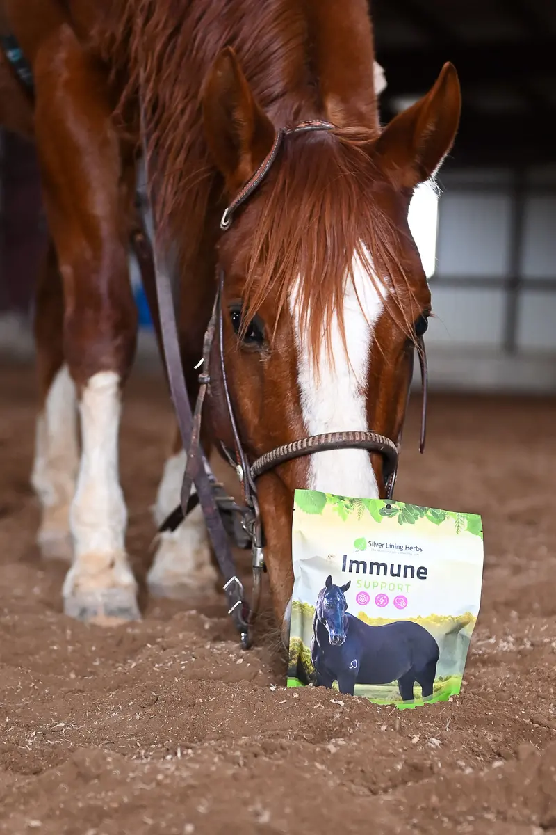 Silver Lining #24 Immune Support 1