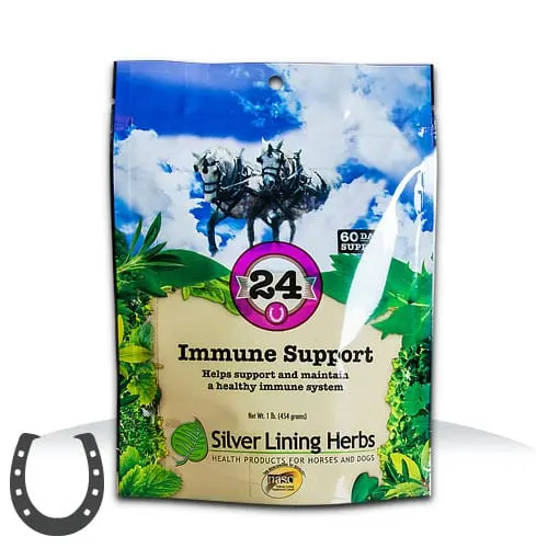 Silver Lining #24 Immune Support 2