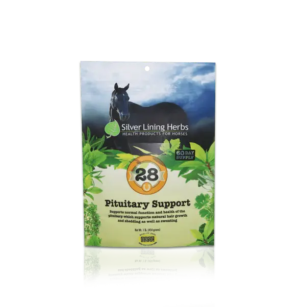 Silver Lining #28 Pituitary Support 1