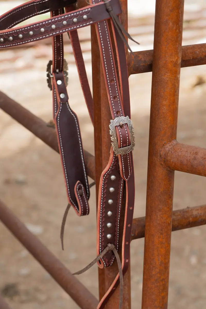 Silver Spur Saddlery Browband Headstall #20 1
