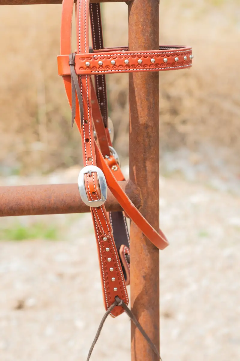 Silver Spur Saddlery Browband Headstall #5 1
