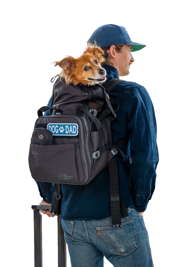 Sky Pack | Convertible Dog Backpack & Pet Carrier 1