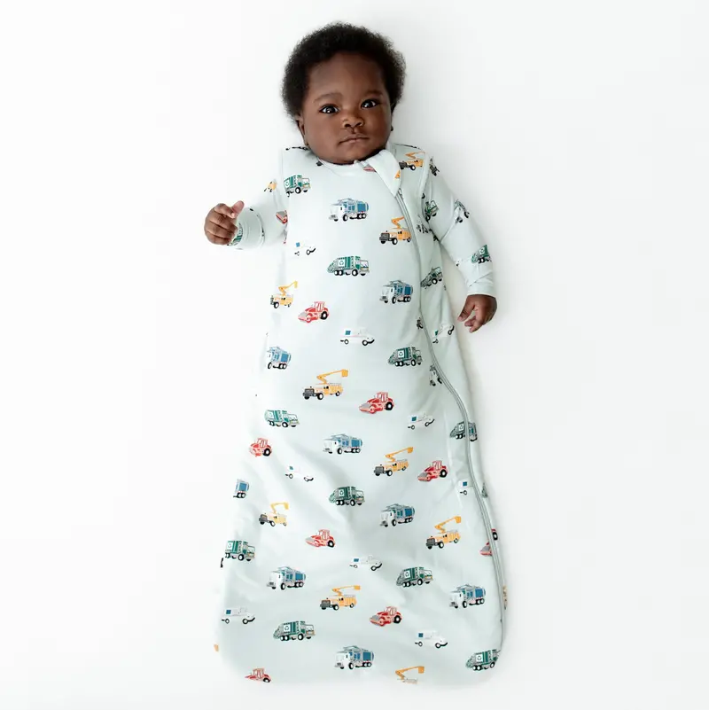 Sleep Bag In City Vehicles 1.0 1