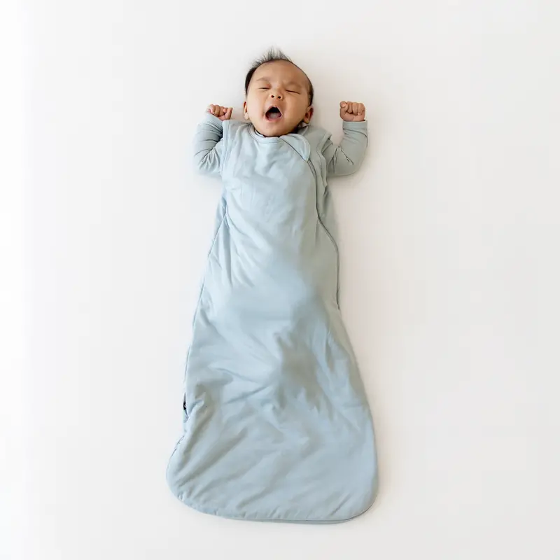 Sleep Bag In Fog 1.0 1