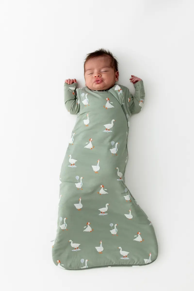 Sleep Bag In Silly Goose 1.0 1