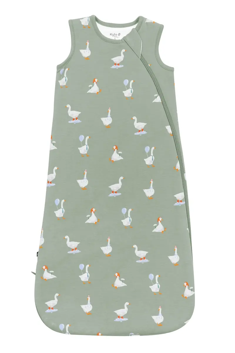 Sleep Bag In Silly Goose 1.0 2