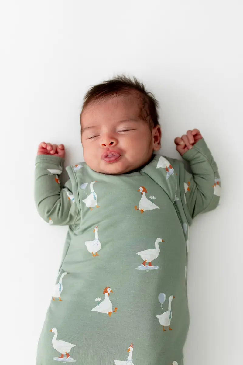 Sleep Bag In Silly Goose 1.0 3