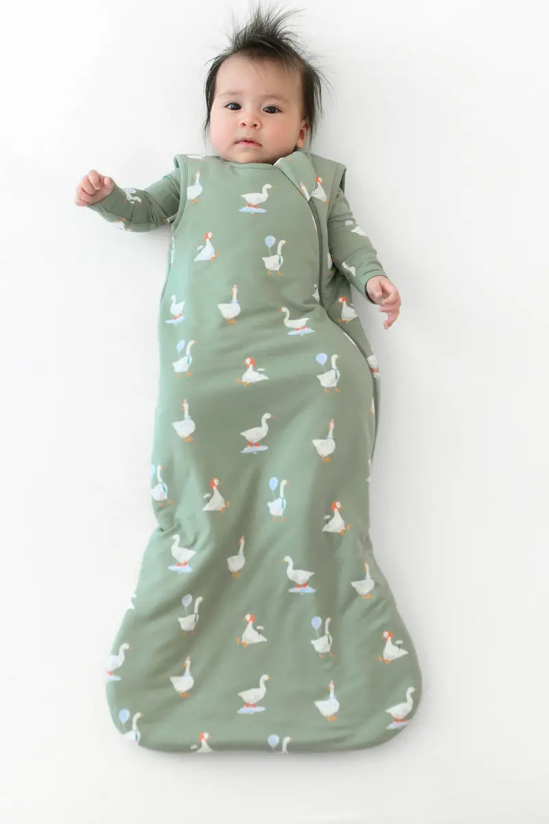 Sleep Bag In Silly Goose 1.0 4