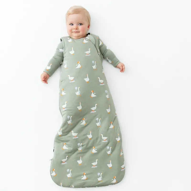 Sleep Bag In Silly Goose 2.5 1