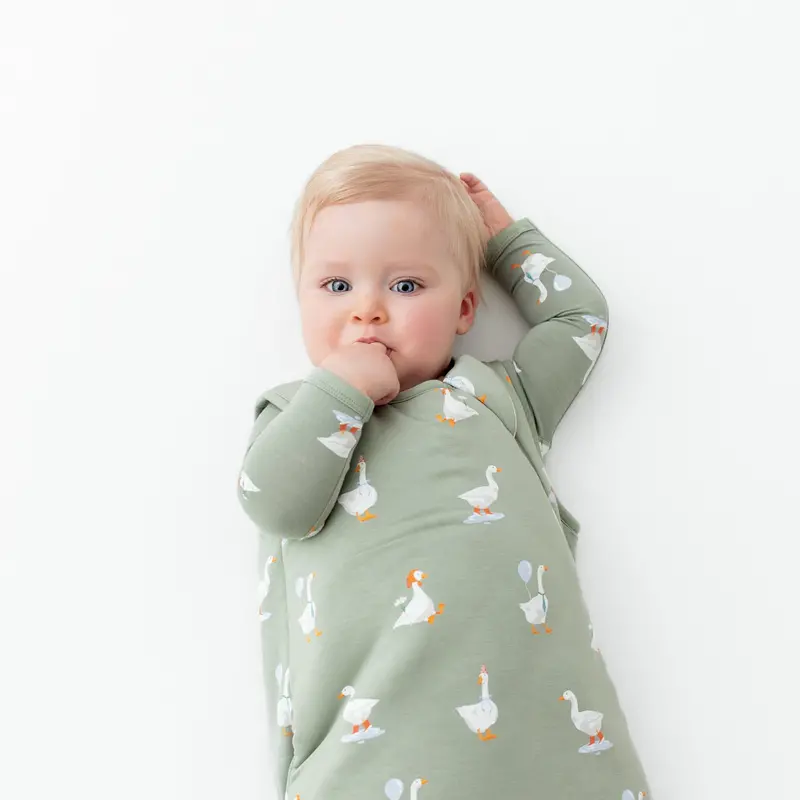Sleep Bag In Silly Goose 2.5 3
