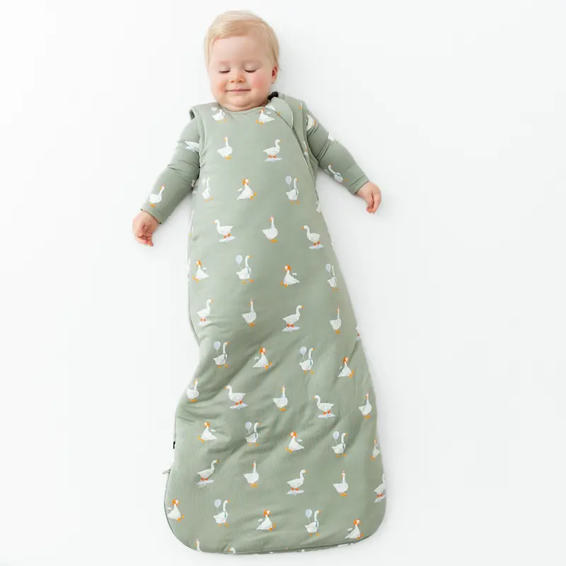 Sleep Bag In Silly Goose 2.5 4