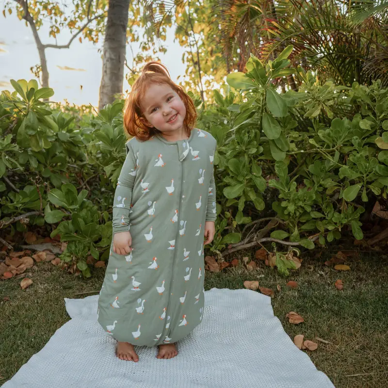 Sleep Bag Walker In Silly Goose 2.5 1