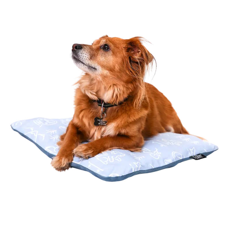 Sleeper | Inflatable Dog Bed With Washable Cover 1
