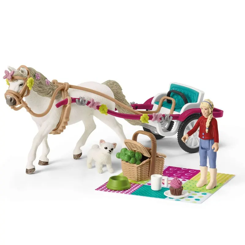Small Carriage For The Big Horse Show 1