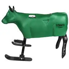Smarty The Steer 1