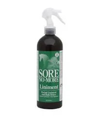 Sore No-More Liniment Spray 1