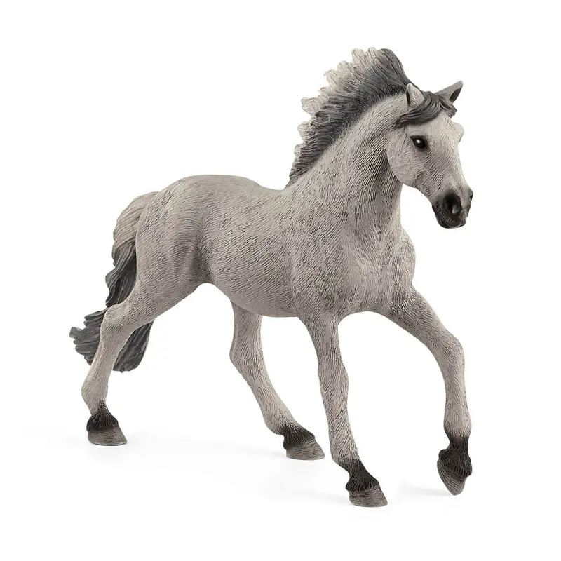 Sorraia Mustang Stallion 1
