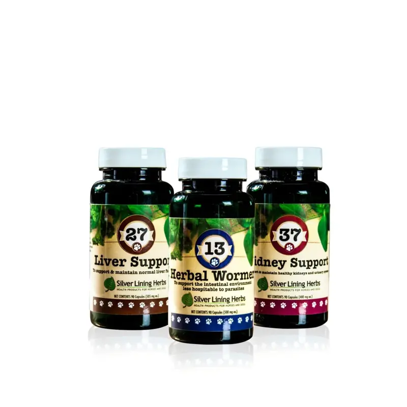 Spring Maintenance Bundle For Canines 1