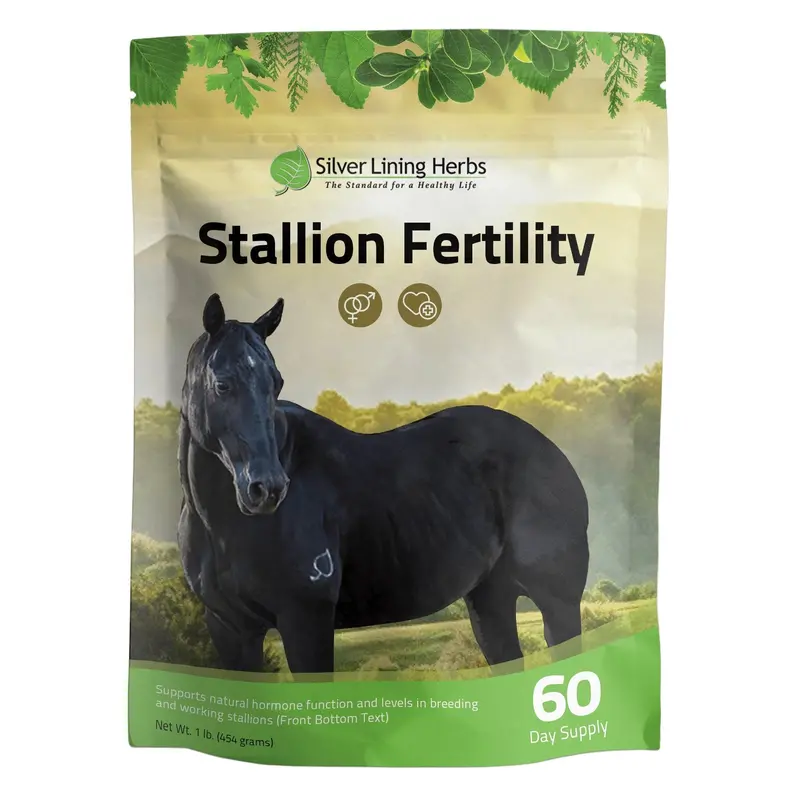 Stallion Fertility For Horses 1