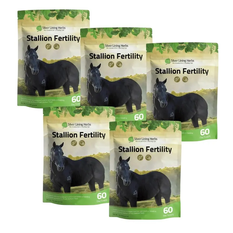 Stallion Fertility For Horses 2