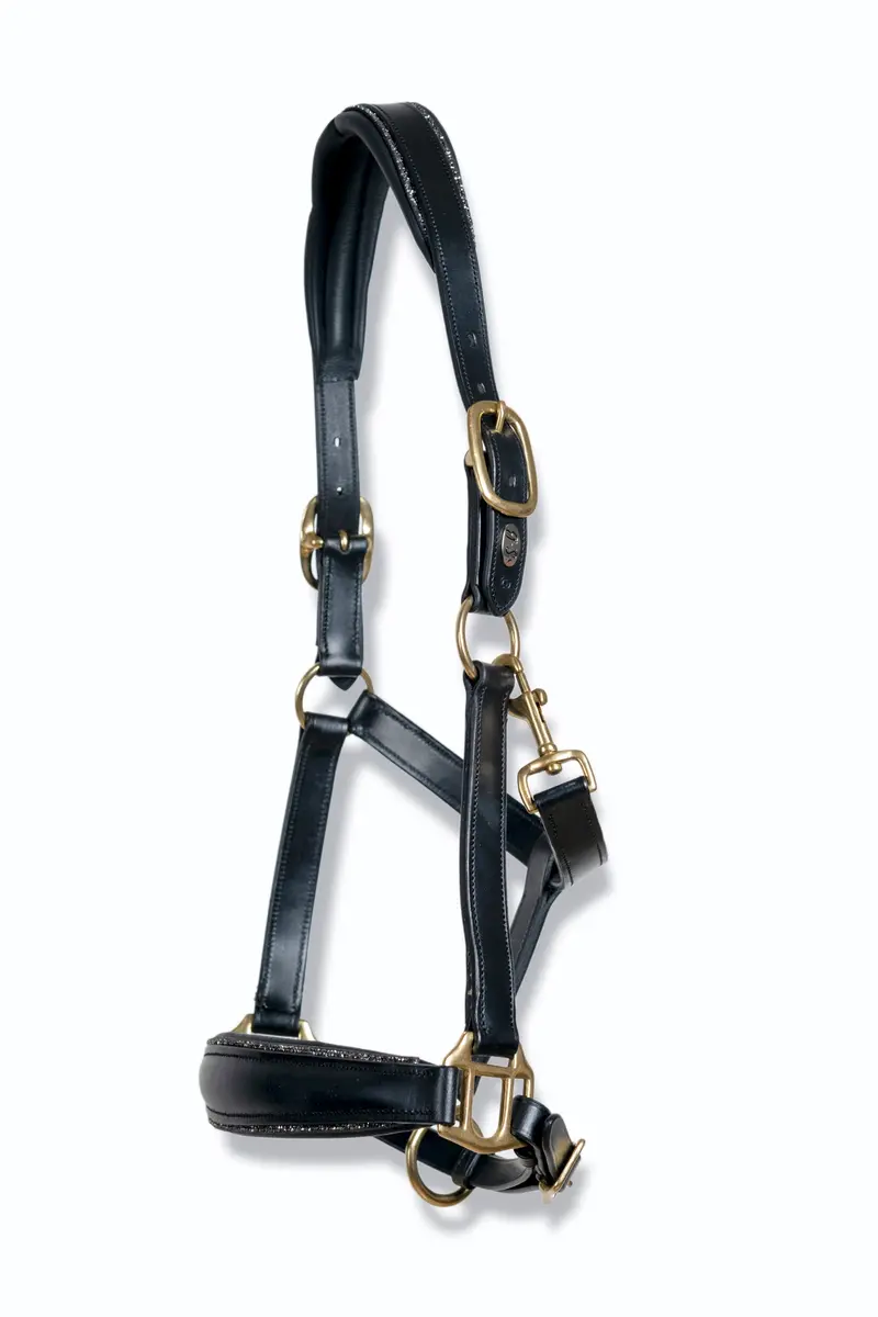 Starlight Halter 11