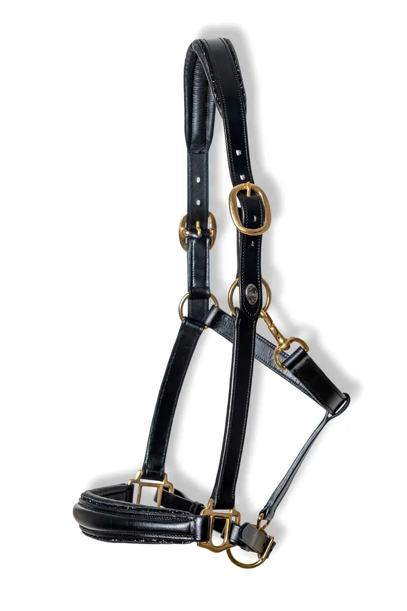Starlight Halter 13