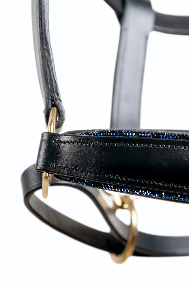 Starlight Halter 9