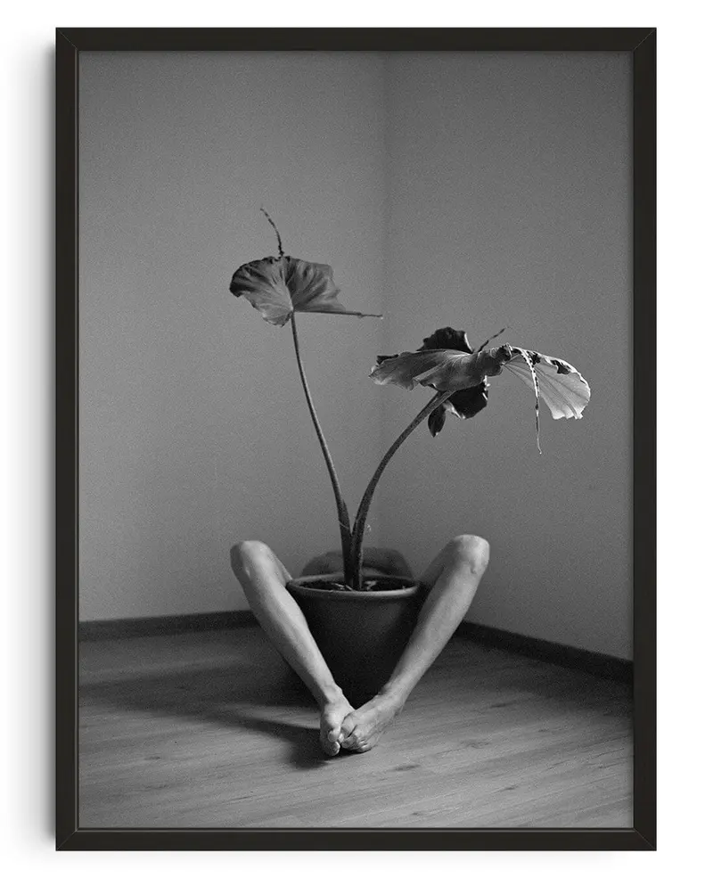 Symbiosis No. 2 1