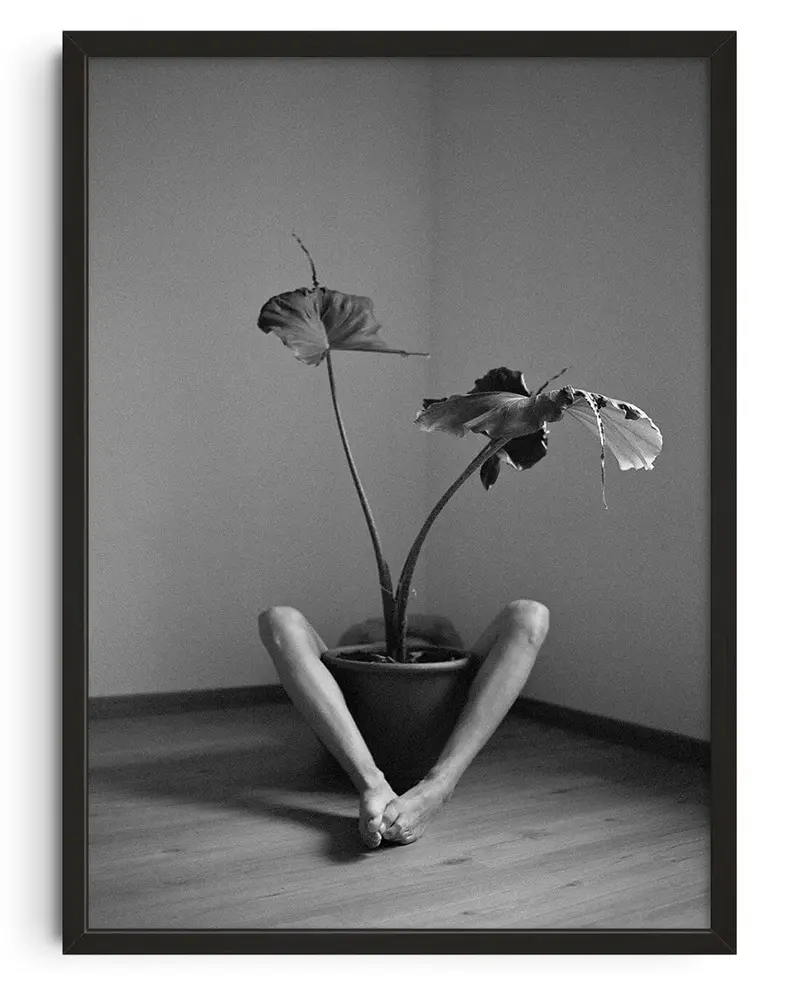 Symbiosis No. 2 1