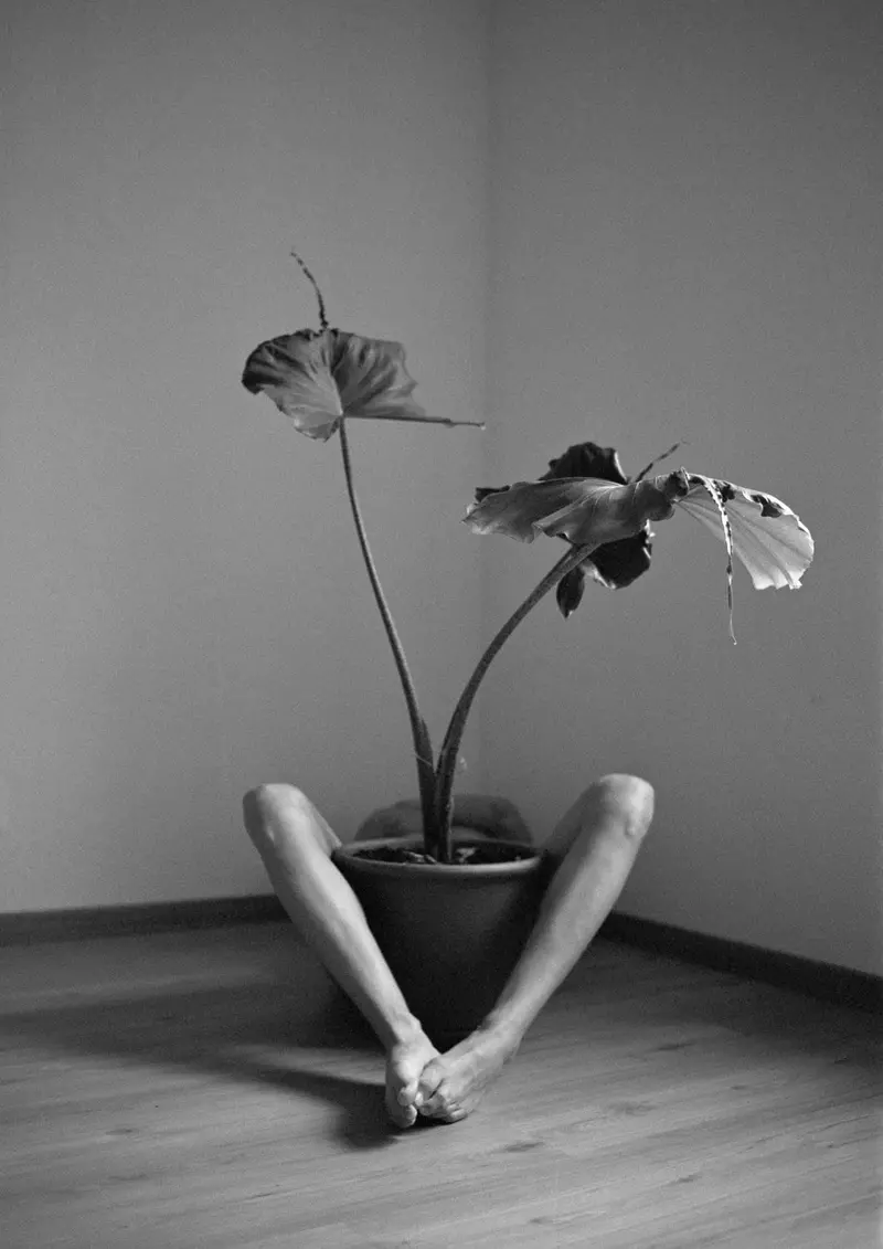 Symbiosis No. 2 2