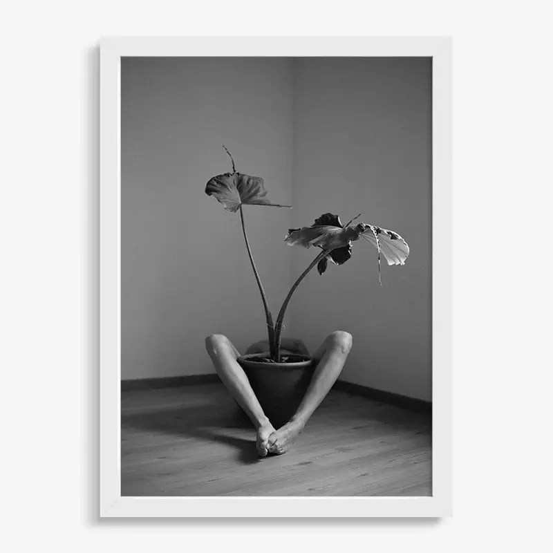 Symbiosis No. 2 4